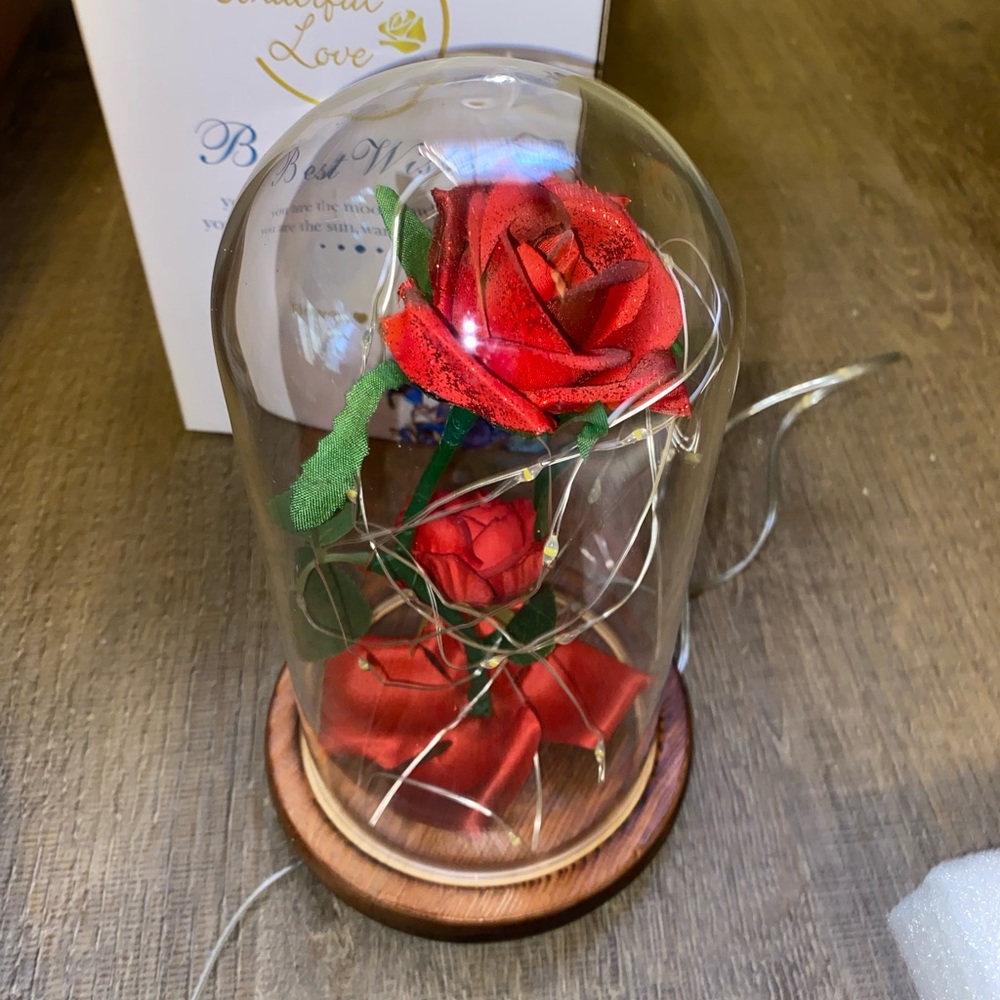 Beauty and the Beast rose in glass jar with lights.
